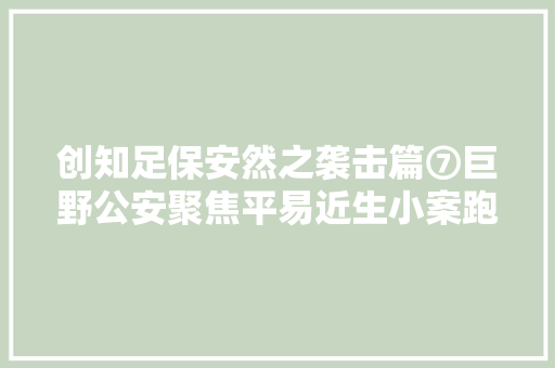 创知足保安然之袭击篇⑦巨野公安聚焦平易近生小案跑出快侦快破加速度