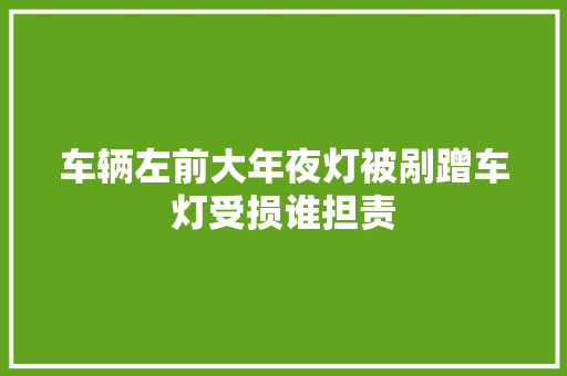 车辆左前大年夜灯被剐蹭车灯受损谁担责