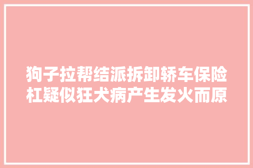 狗子拉帮结派拆卸轿车保险杠疑似狂犬病产生发火而原形却是