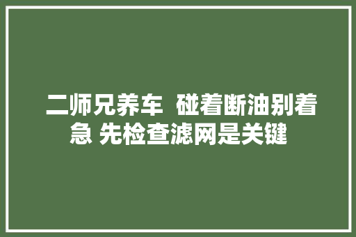  二师兄养车  碰着断油别着急 先检查滤网是关键