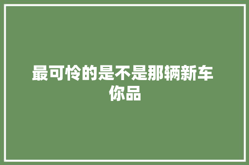 最可怜的是不是那辆新车 你品