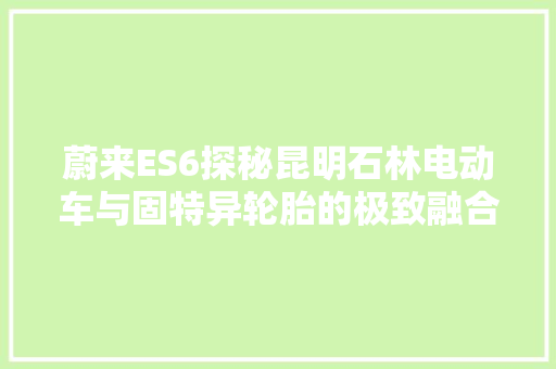 蔚来ES6探秘昆明石林电动车与固特异轮胎的极致融合