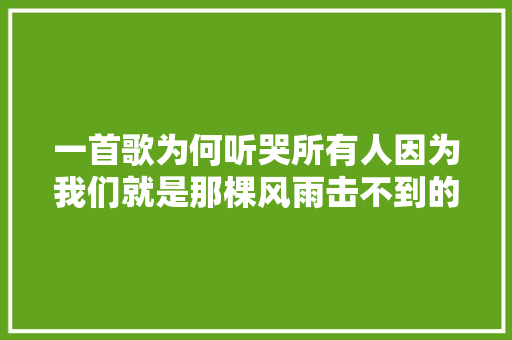 一首歌为何听哭所有人因为我们就是那棵风雨击不到的小草