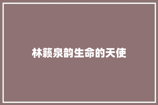 林籁泉韵生命的天使
