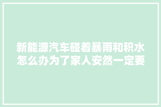 新能源汽车碰着暴雨和积水怎么办为了家人安然一定要看看