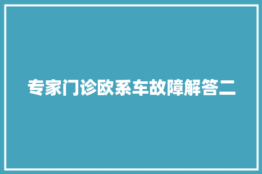 专家门诊欧系车故障解答二