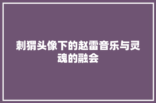 刺猬头像下的赵雷音乐与灵魂的融会