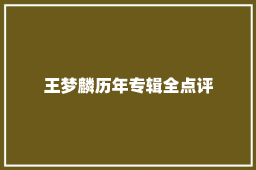 王梦麟历年专辑全点评