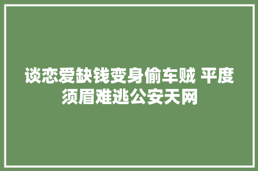 谈恋爱缺钱变身偷车贼 平度须眉难逃公安天网