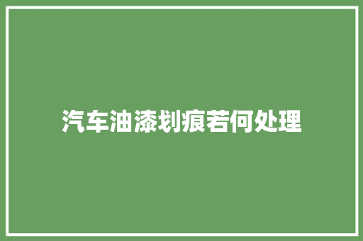 汽车油漆划痕若何处理