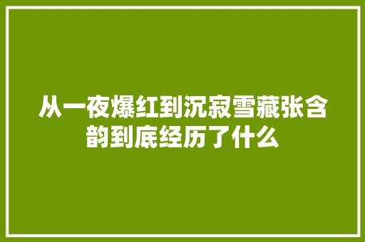 从一夜爆红到沉寂雪藏张含韵到底经历了什么