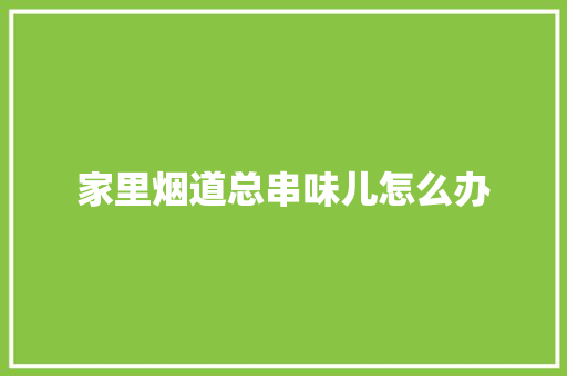 家里烟道总串味儿怎么办