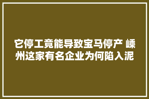 它停工竟能导致宝马停产 嵊州这家有名企业为何陷入泥潭