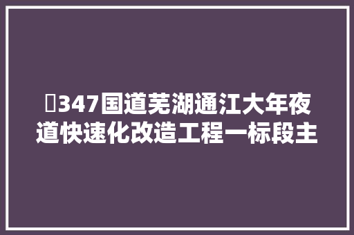 ​347国道芜湖通江大年夜道快速化改造工程一标段主线桥通车