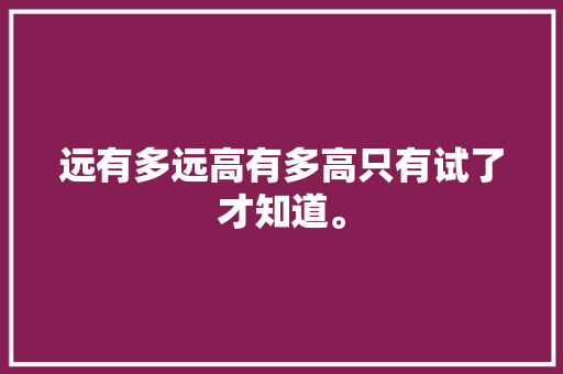 远有多远高有多高只有试了才知道。