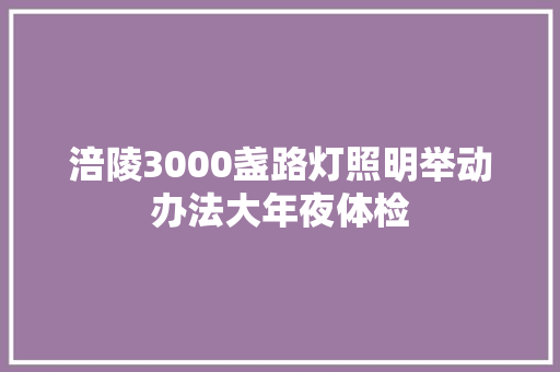 涪陵3000盏路灯照明举动办法大年夜体检