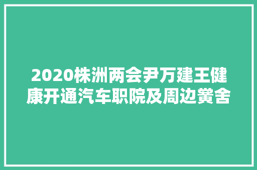 2020株洲两会尹万建王健康开通汽车职院及周边黉舍至市区公交线路