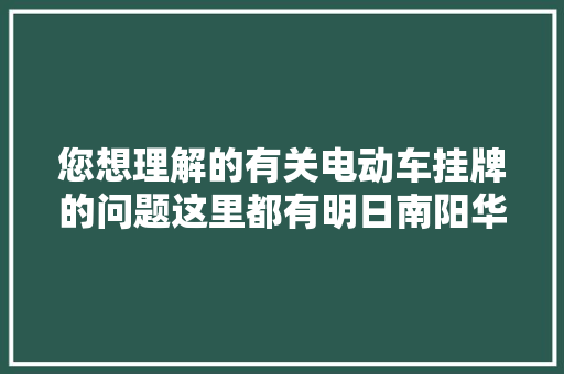 您想理解的有关电动车挂牌的问题这里都有明日南阳华润燃气值班