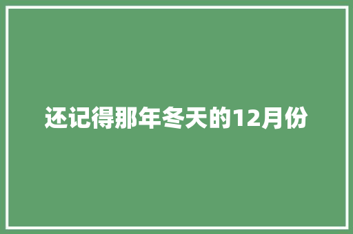 还记得那年冬天的12月份