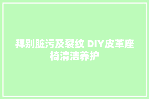 拜别脏污及裂纹 DIY皮革座椅清洁养护