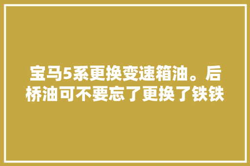 宝马5系更换变速箱油。后桥油可不要忘了更换了铁铁。变速箱油