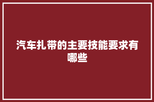 汽车扎带的主要技能要求有哪些