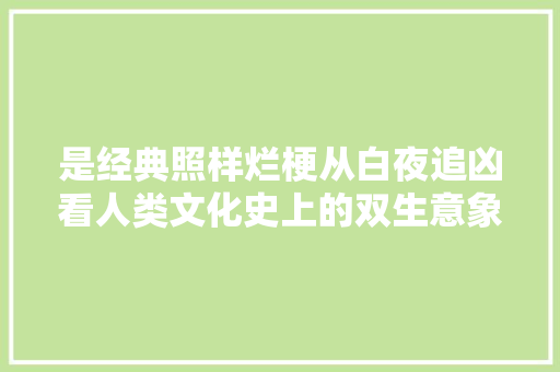 是经典照样烂梗从白夜追凶看人类文化史上的双生意象