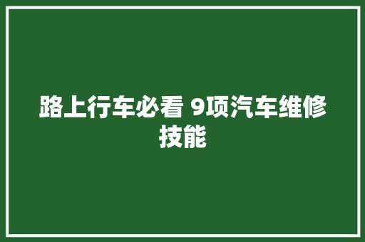 路上行车必看 9项汽车维修技能