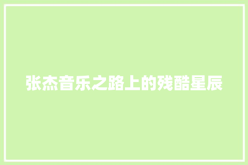 张杰音乐之路上的残酷星辰