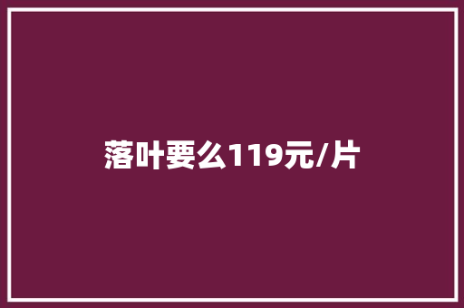 落叶要么119元/片