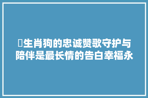 ​生肖狗的忠诚赞歌守护与陪伴是最长情的告白幸福永驻