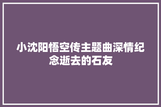 小沈阳悟空传主题曲深情纪念逝去的石友