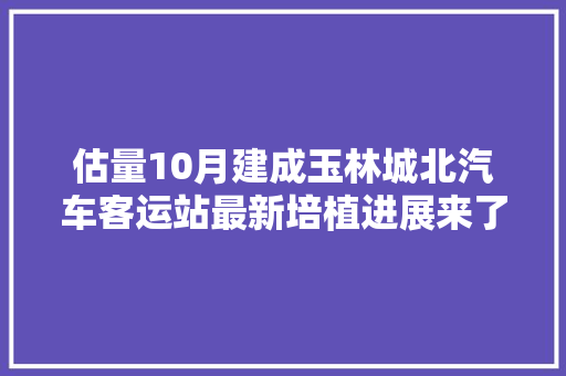 估量10月建成玉林城北汽车客运站最新培植进展来了