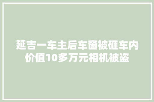延吉一车主后车窗被砸车内价值10多万元相机被盗