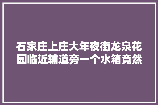 石家庄上庄大年夜街龙泉花园临近辅道旁一个水箱竟然出现了漏水