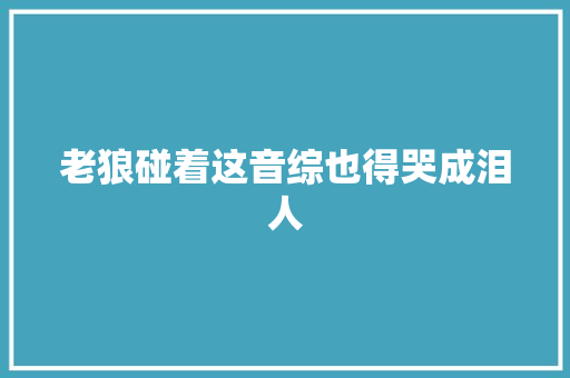 老狼碰着这音综也得哭成泪人