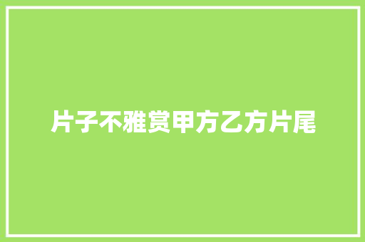 片子不雅赏甲方乙方片尾
