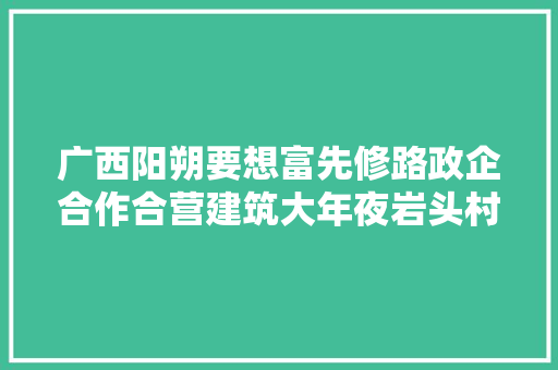 广西阳朔要想富先修路政企合作合营建筑大年夜岩头村的电力小康路