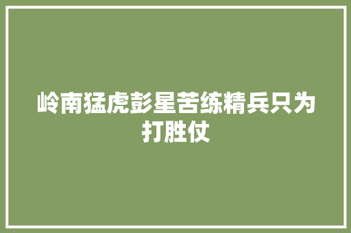 岭南猛虎彭星苦练精兵只为打胜仗 汽车知识