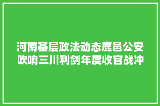 河南基层政法动态鹿邑公安吹响三川利剑年度收官战冲锋号