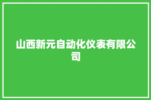 山西新元自动化仪表有限公司