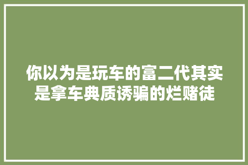 你以为是玩车的富二代其实是拿车典质诱骗的烂赌徒