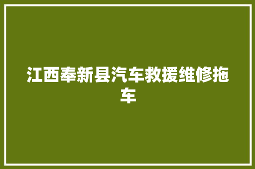 江西奉新县汽车救援维修拖车