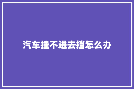 汽车挂不进去挡怎么办