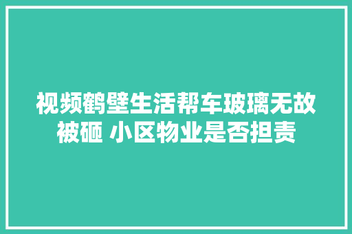视频鹤壁生活帮车玻璃无故被砸 小区物业是否担责