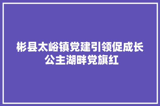 彬县太峪镇党建引领促成长 公主湖畔党旗红