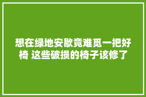 想在绿地安歇竟难觅一把好椅 这些破损的椅子该修了