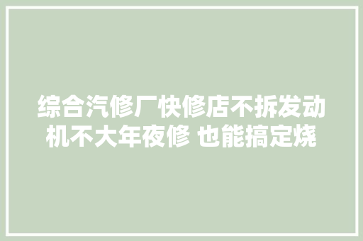 综合汽修厂快修店不拆发动机不大年夜修 也能搞定烧机油问题