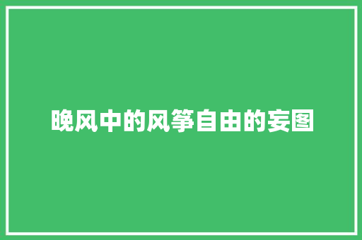 晚风中的风筝自由的妄图