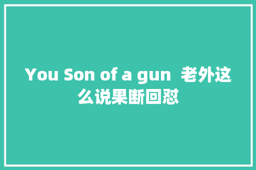 You Son of a gun  老外这么说果断回怼